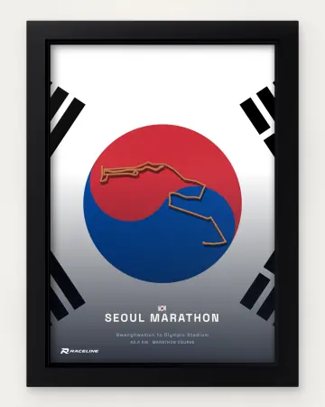 Seoul marathon course in a framed flag view
