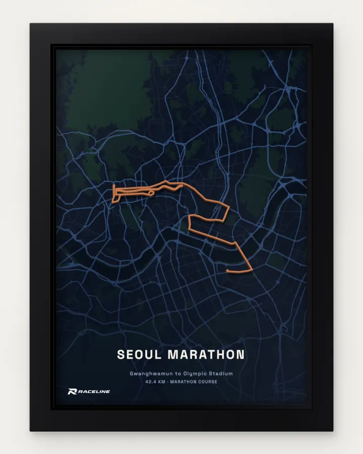 Seoul marathon course in a framed map view