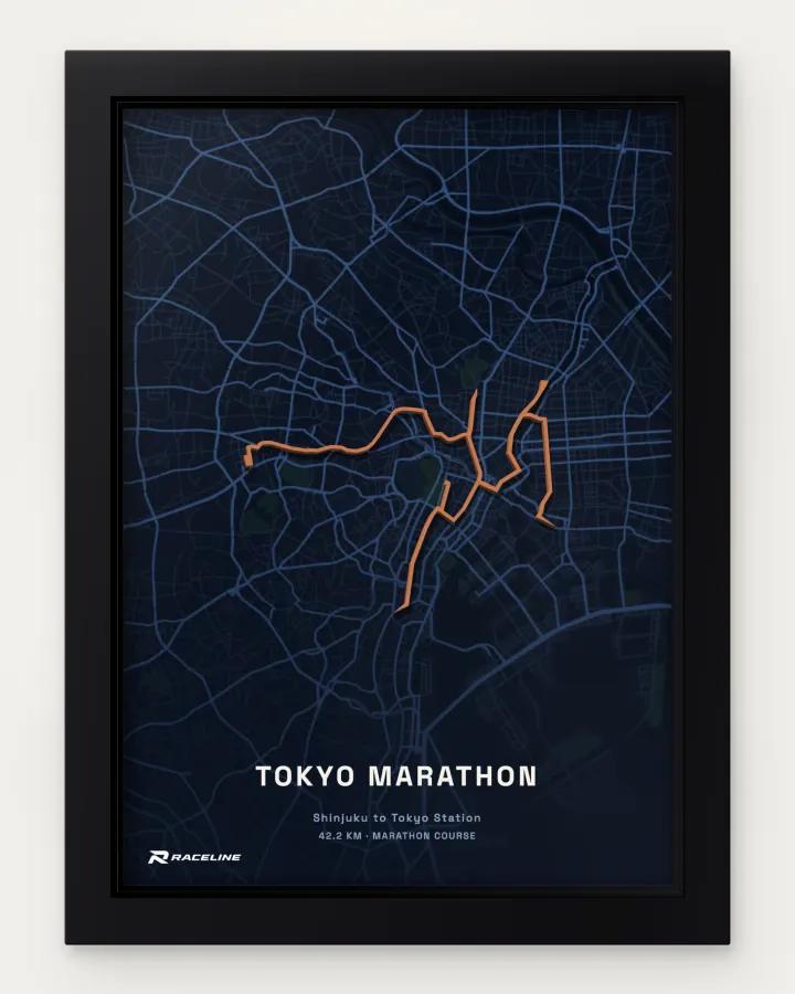 Tokyo marathon course in a framed map view